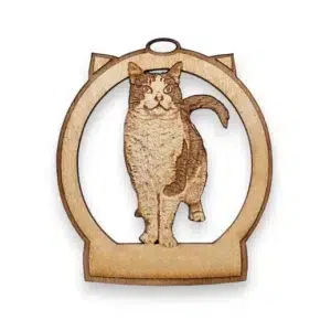 Treat Cat Ornament | Personalized