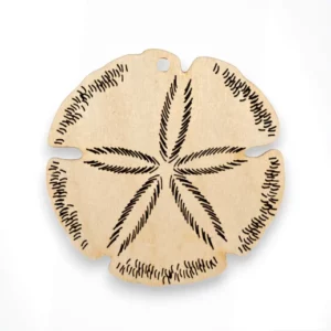 Sand Dollar Christmas Ornaments | Personalized