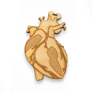 Anatomical Heart Ornament | Gifts for Cardiologist