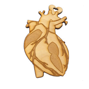 Anatomical Heart Ornament | Gifts for Cardiologist