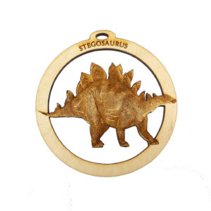 Personalized Stegosaurus Gift