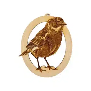 Green Cheeked Conure Ornament engraved in wood